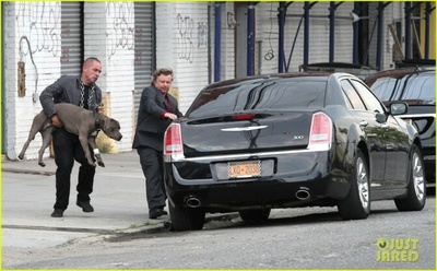 疾速特攻剧照的剧照