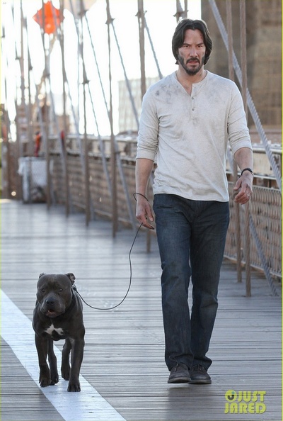 疾速特攻剧照的剧照