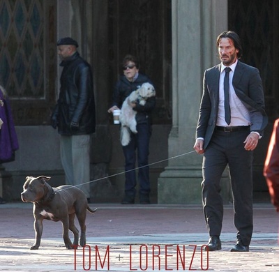 疾速特攻剧照的剧照