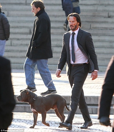 疾速特攻剧照的剧照