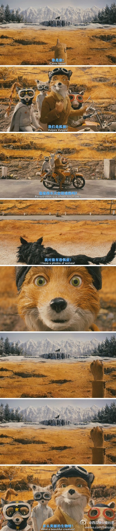 了不起的狐狸爸爸剧照的剧照