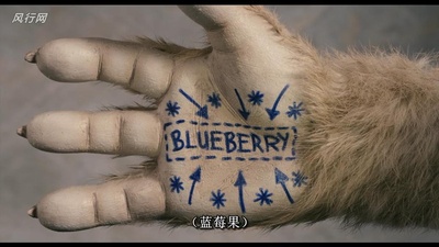 了不起的狐狸爸爸剧照的剧照