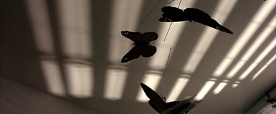 黑鹰坠落剧照的剧照