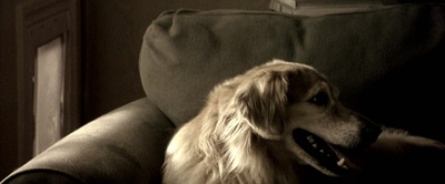 黑鹰坠落剧照的剧照