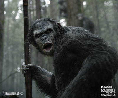 猩球崛起2：黎明之战剧照的剧照