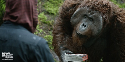 猩球崛起2：黎明之战剧照的剧照