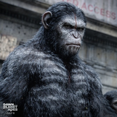 猩球崛起2：黎明之战剧照的剧照