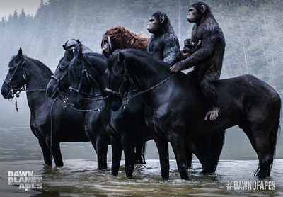 猩球崛起2：黎明之战剧照的剧照