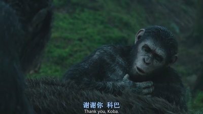 猩球崛起2：黎明之战剧照的剧照