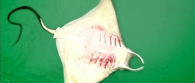 西游降魔篇剧照的剧照