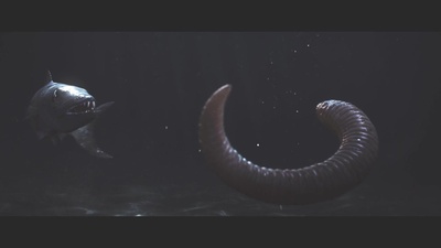 死亡录像4：启示录剧照的剧照