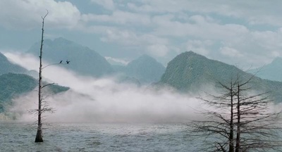 迷雾剧照的剧照