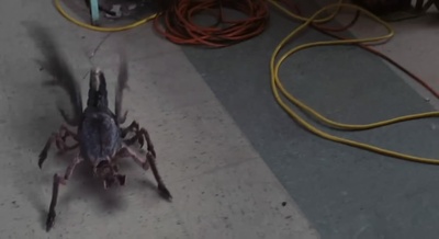 迷雾剧照的剧照