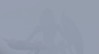 迷雾剧照的剧照