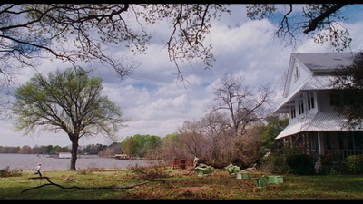 迷雾剧照的剧照