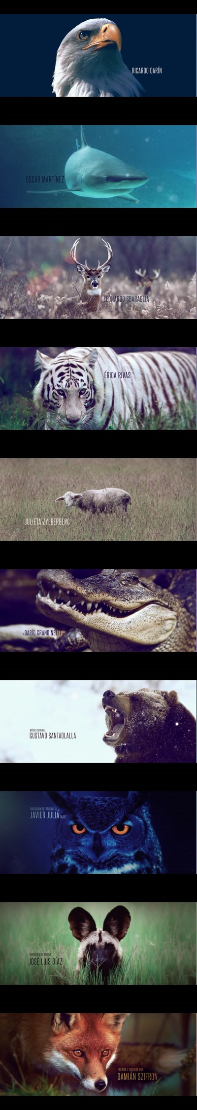 荒蛮故事剧照的剧照