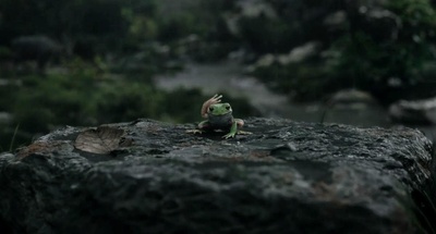 奇幻森林剧照的剧照