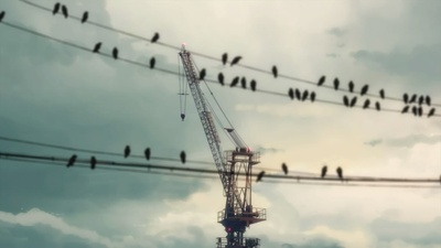 秒速5厘米剧照的剧照