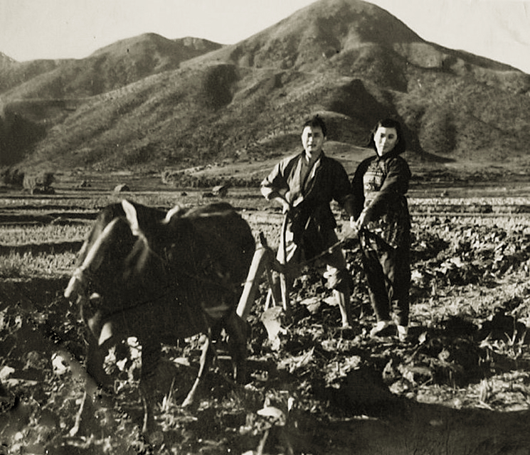 小二黑结婚剧照的剧照