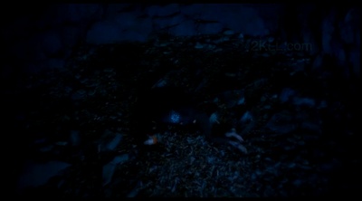 狼少年剧照的剧照