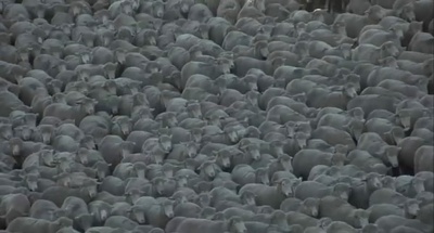 断背山剧照的剧照