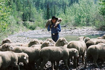 断背山剧照的剧照