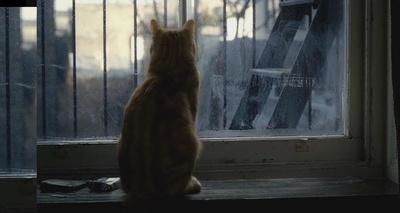 醉乡民谣剧照的剧照