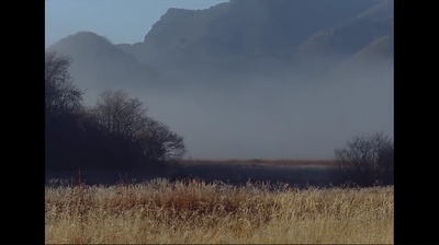 刺客聂隐娘剧照的剧照