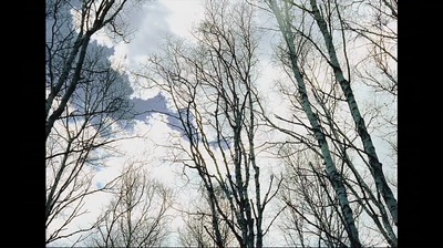 刺客聂隐娘剧照的剧照