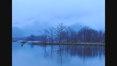 刺客聂隐娘剧照的剧照
