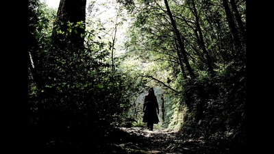 刺客聂隐娘剧照的剧照