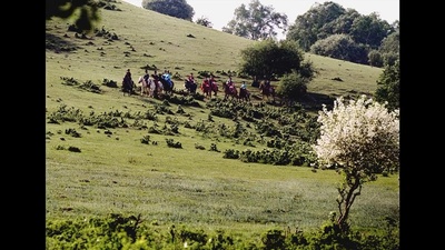 刺客聂隐娘剧照的剧照