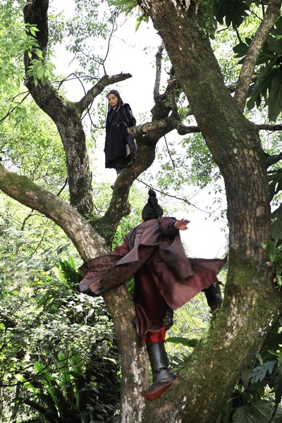 刺客聂隐娘剧照的剧照