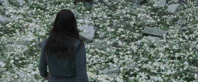 饥饿游戏3：嘲笑鸟(上)剧照的剧照