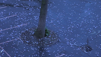 巴别塔之校剧照的剧照