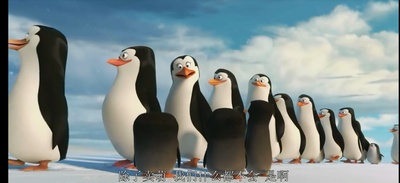 马达加斯加的企鹅剧照的剧照