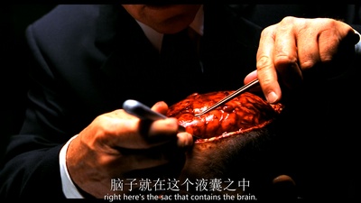 汉尼拔剧照的剧照