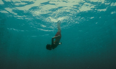 进化岛剧照的剧照