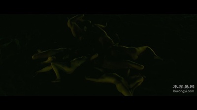 进化岛剧照的剧照