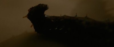 进化岛剧照的剧照