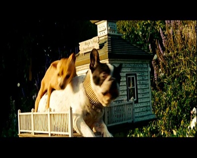 变形金刚2剧照的剧照