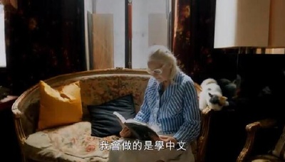 维斯特伍德：朋克，图标，活动家剧照的剧照