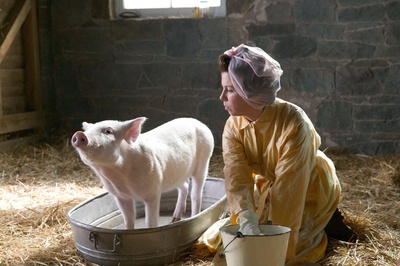 夏洛特的网剧照的剧照