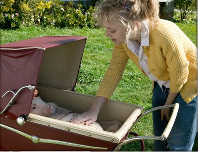 夏洛特的网剧照的剧照