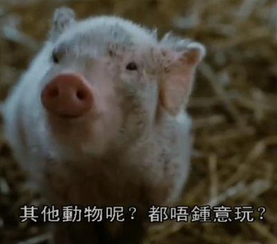 夏洛特的网剧照的剧照