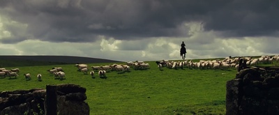 战马剧照的剧照