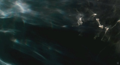 生命之树剧照的剧照