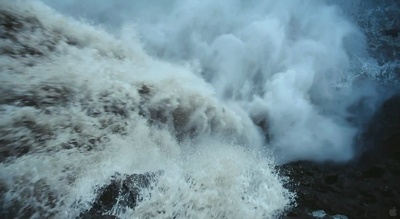 生命之树剧照的剧照