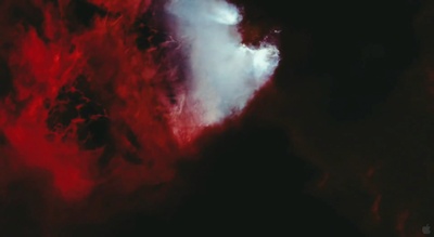 生命之树剧照的剧照