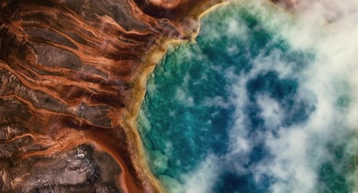 生命之树剧照的剧照